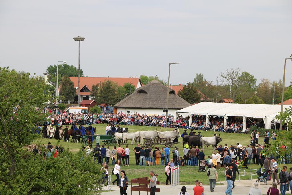Ferienwohnung Hortobagyi Kemences Vendeghaz Exterior foto